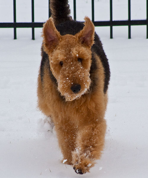 Murphy - Lovin' The Snow